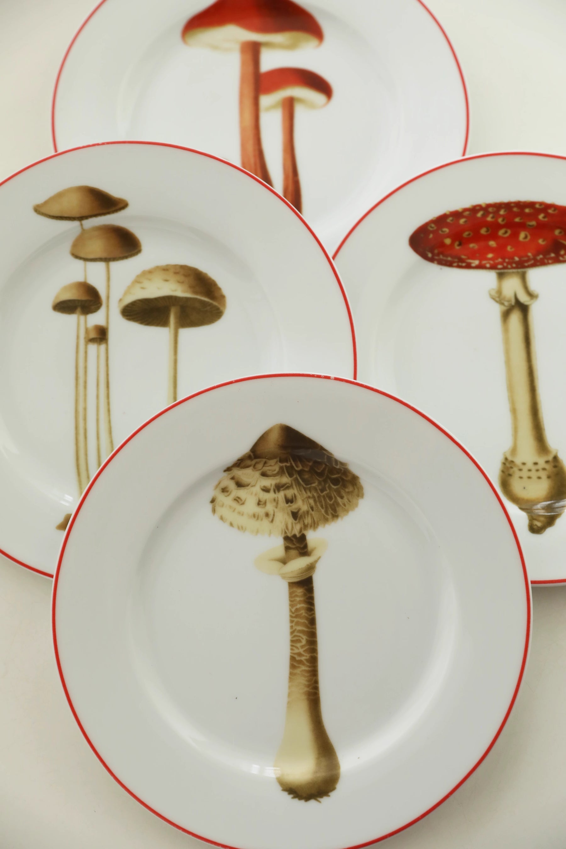 MUSHROOM FULL LIFE CIRCLE DINNER SET