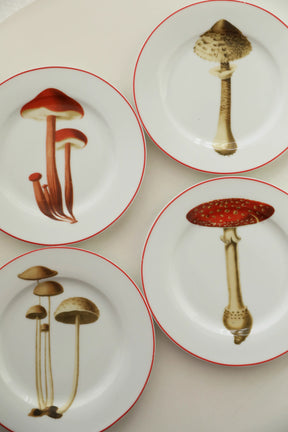 MUSHROOM FULL LIFE CIRCLE DINNER SET